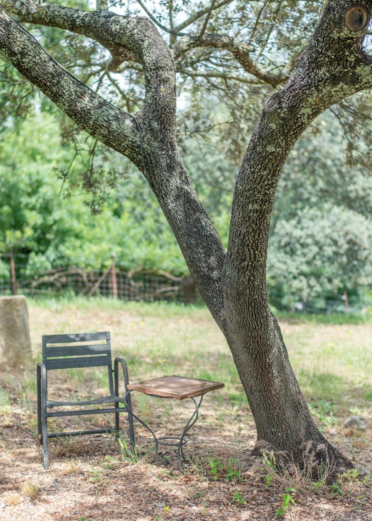 La Umbria De La Ribera Konuk evi El Pedroso Dış mekan fotoğraf